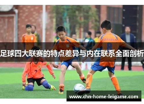 足球四大联赛的特点差异与内在联系全面剖析